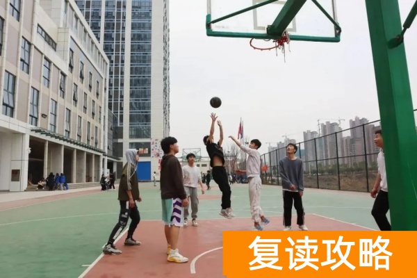 湖南升学宝2025单招培训招生简章