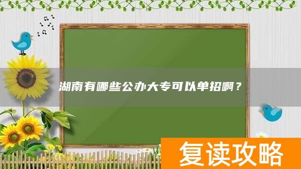 湖南有哪些公办大专可以单招啊?