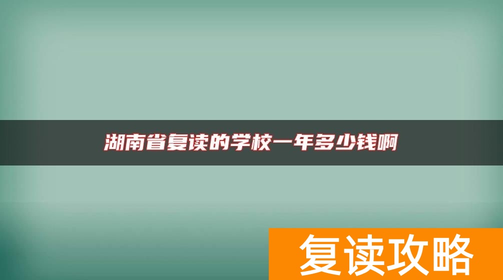 湖南省复读的学校一年多少钱啊