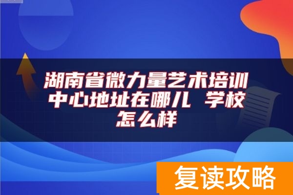 湖南省微力量艺术培训中心地址在哪儿 学校怎么样