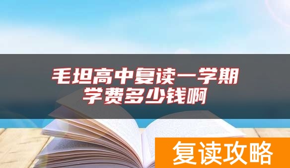 毛坦高中复读一学期学费多少钱啊