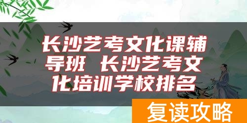 长沙艺考文化课辅导班 长沙艺考文化培训学校排名