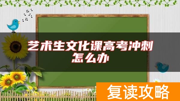 艺术生文化课高考冲刺怎么办