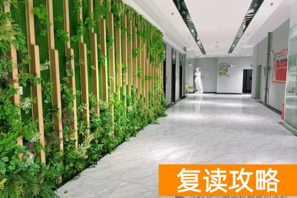 湖南单招集训2025年招生简章