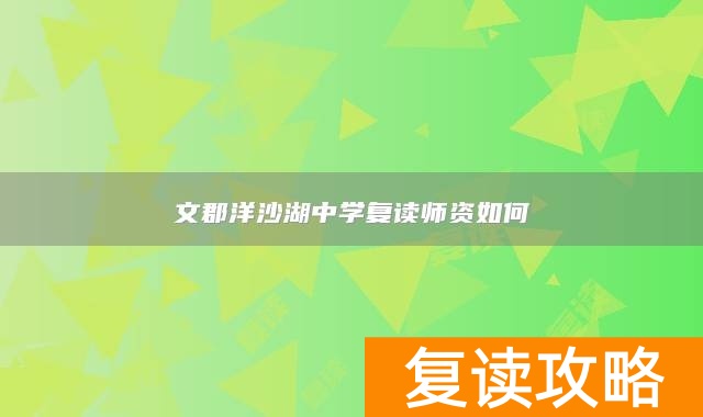 文郡洋沙湖中学复读师资如何