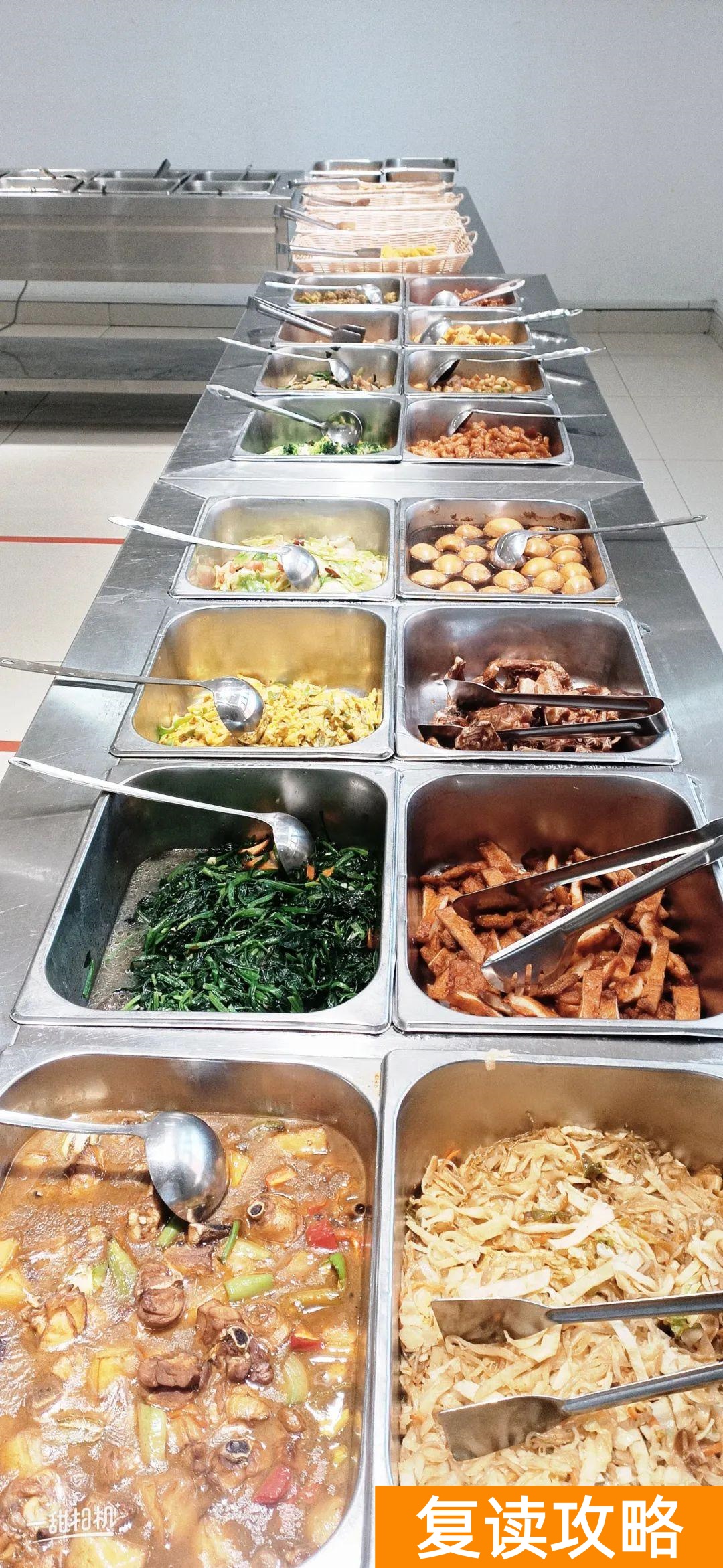 潍坊高三复读学校排名（潍坊行知中学2022年复读招生说明）