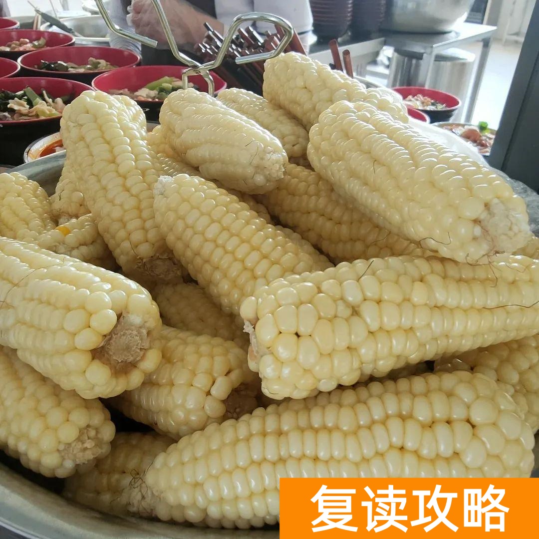 云南正规高三复读学校（云南长水实验中学文山校区2023届高考复读班招生简章）