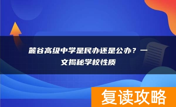 麓谷高级中学是民办还是公办？一文揭秘学校性质