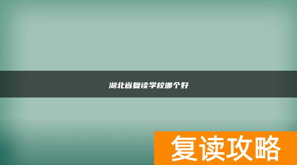 湖北省复读学校哪个好