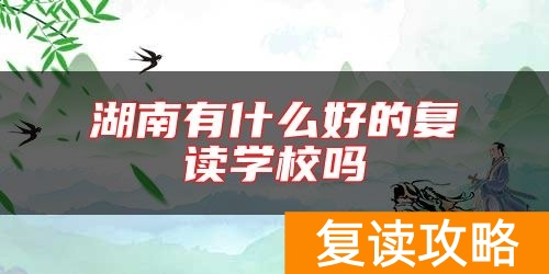 湖南有什么好的复读学校吗