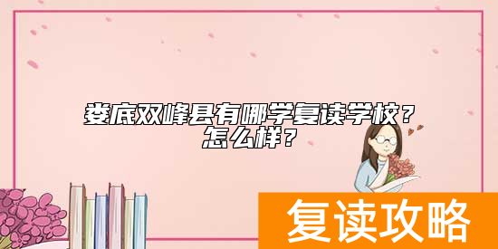 娄底双峰县有哪学复读学校？怎么样？