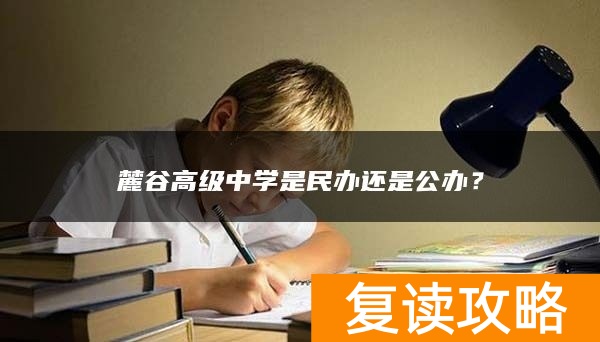 麓谷高级中学是民办还是公办？