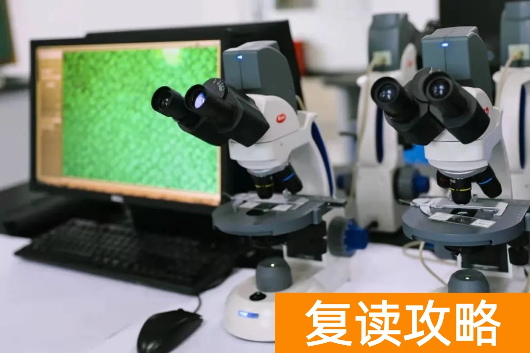 湖南师大二附中复读部环境如何 ？好不好？