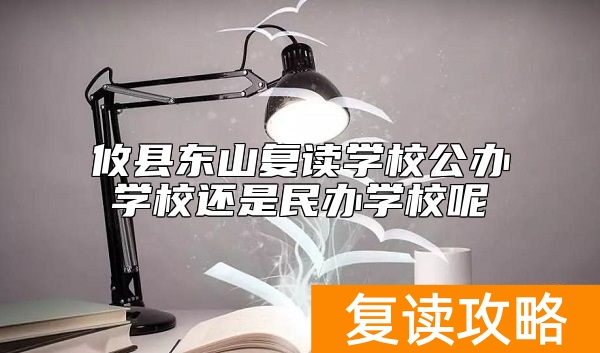 攸县东山复读学校公办学校还是民办学校呢