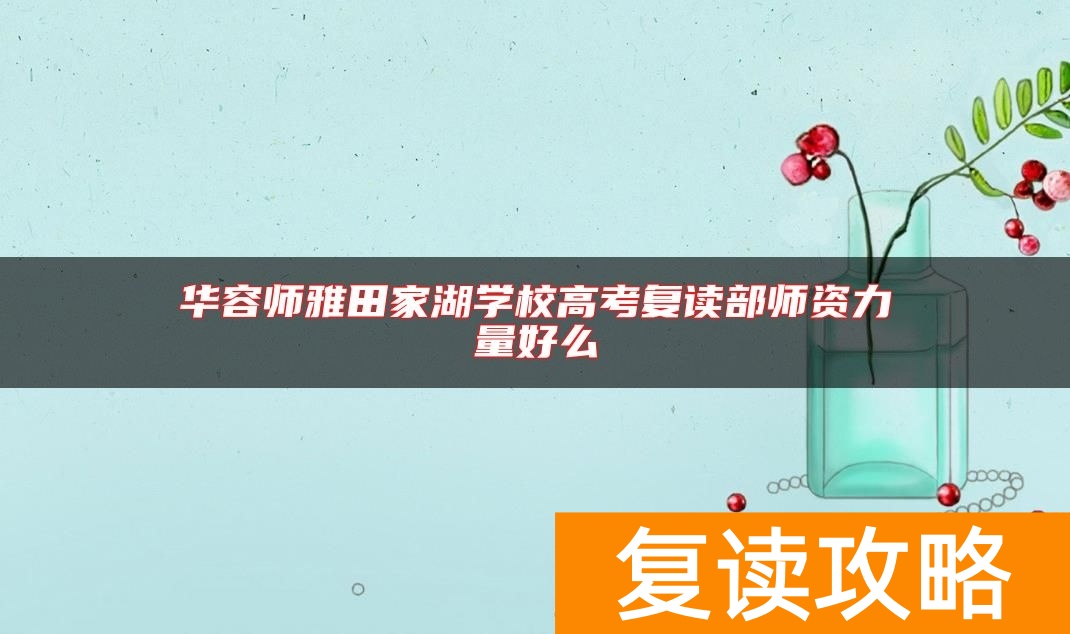 华容师雅田家湖学校高考复读部师资力量好么