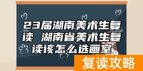 23届湖南美术生复读 湖南省美术生复读该怎么选画室