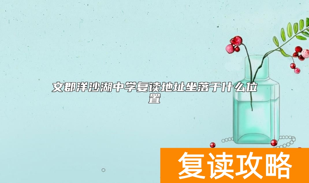 文郡洋沙湖中学复读地址坐落于什么位置