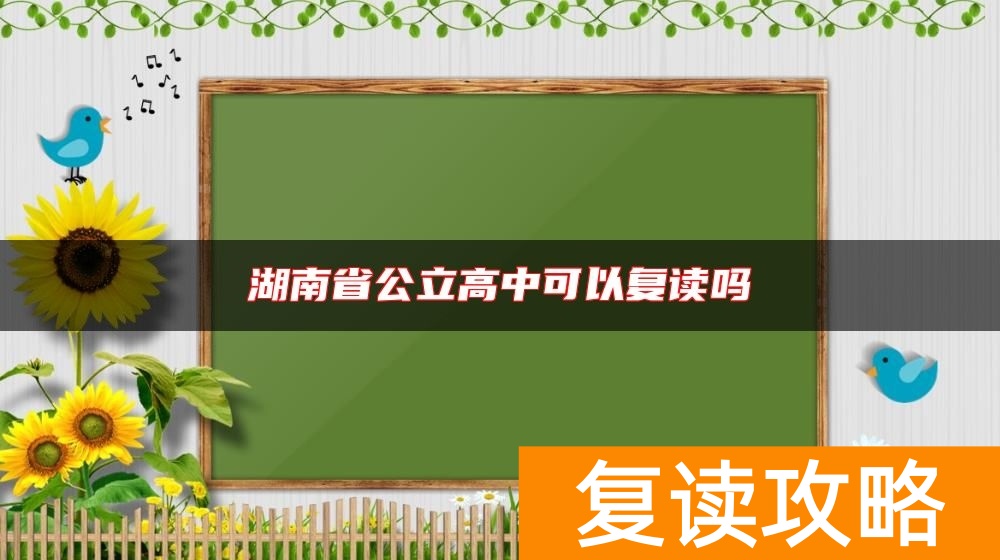 湖南省公立高中可以复读吗