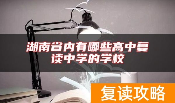 湖南省内有哪些高中复读中学的学校