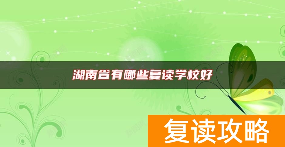 湖南省有哪些复读学校好