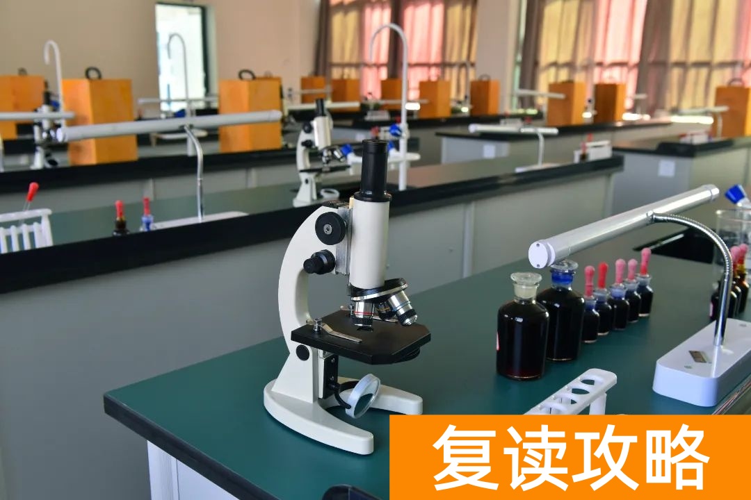 株洲星雅学校高复部校园环境全面揭秘