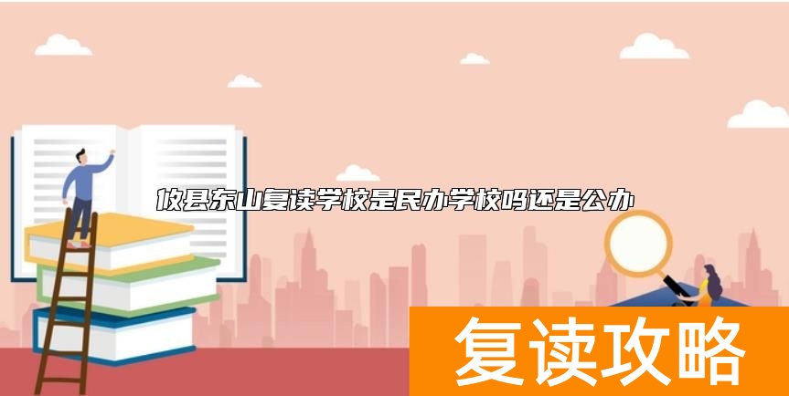 攸县东山复读学校是民办学校吗还是公办