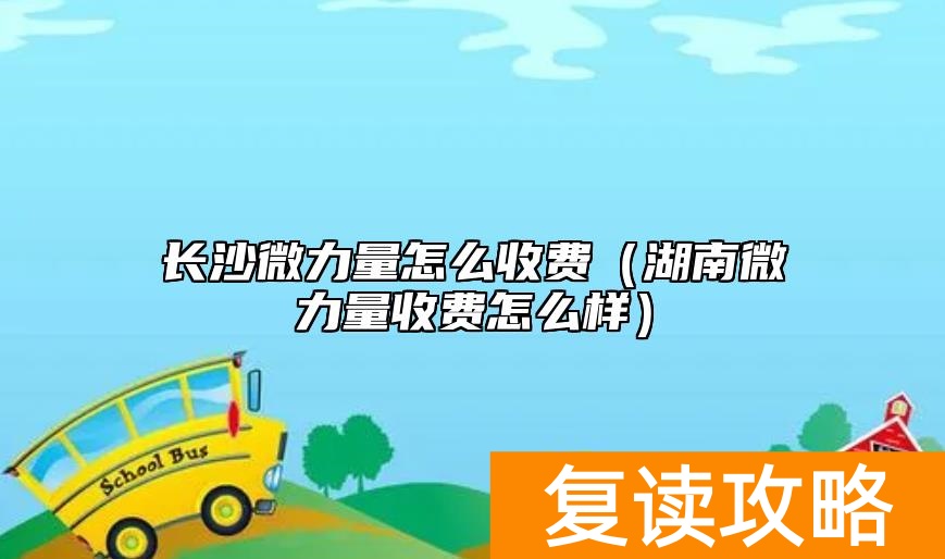 长沙微力量怎么收费（湖南微力量收费怎么样）