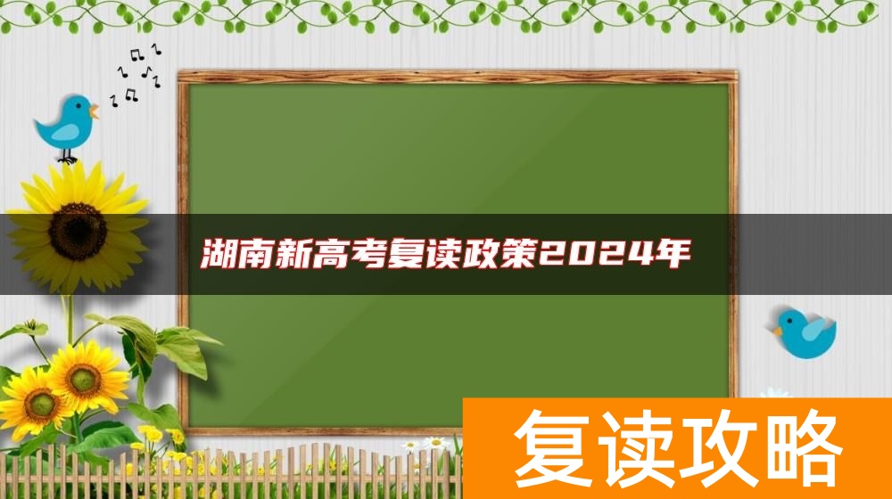 湖南新高考复读政策2024年
