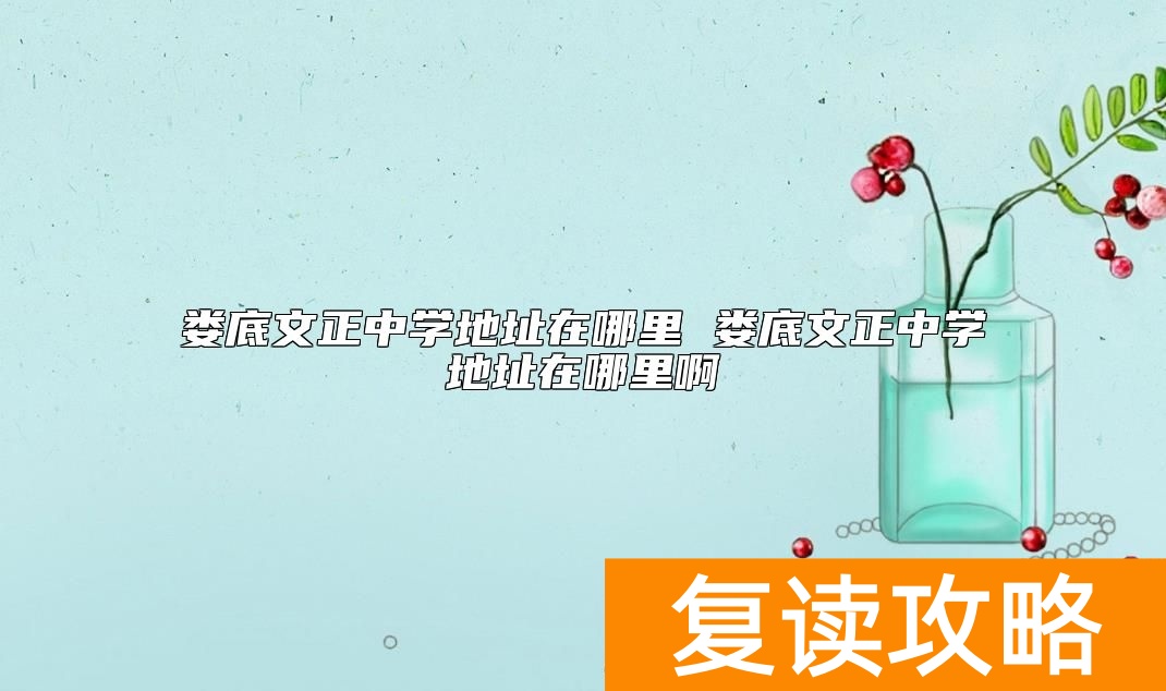 娄底文正中学地址在哪里 娄底文正中学地址在哪里啊