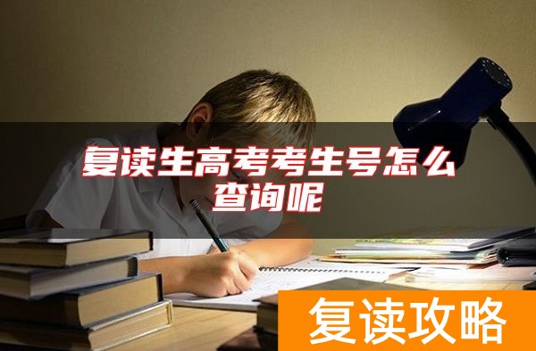 复读生高考考生号怎么查询呢