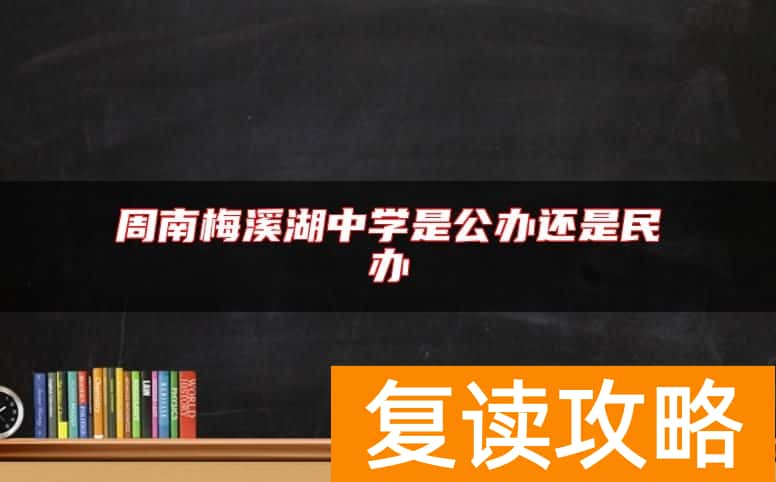 周南梅溪湖中学是公办还是民办