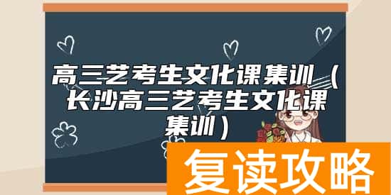 高三艺考生文化课集训（长沙高三艺考生文化课集训）