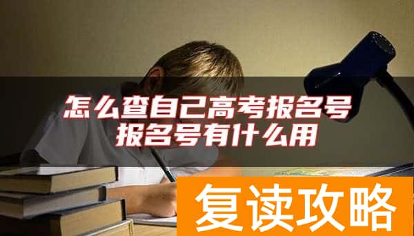 怎么查自己高考报名号 报名号有什么用