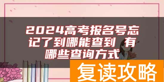 2024高考报名号忘记了到哪能查到 有哪些查询方式