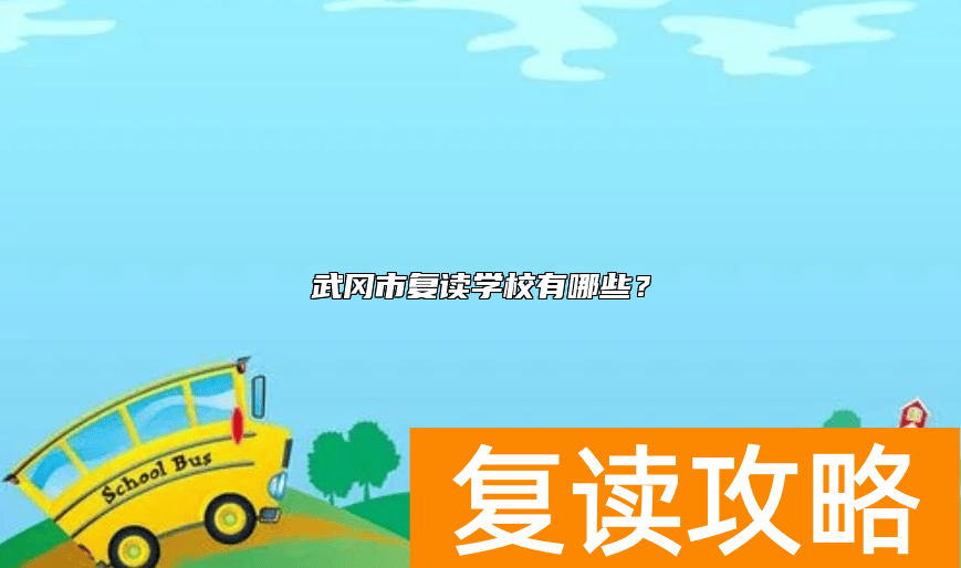 武冈市复读学校有哪些？