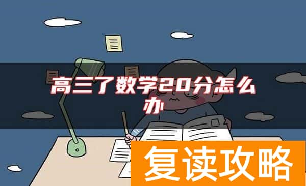 高三了数学20分怎么办