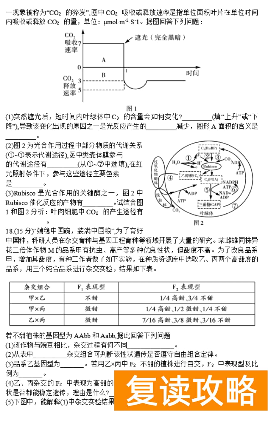 湖南邵阳一模2024届高三上第一次联考生物试卷及答案