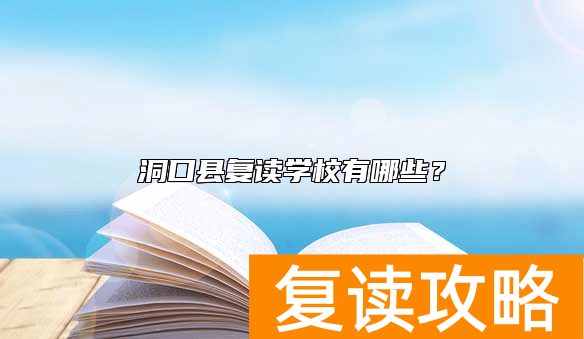洞口县复读学校有哪些？