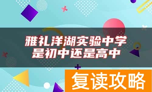 雅礼洋湖实验中学是初中还是高中
