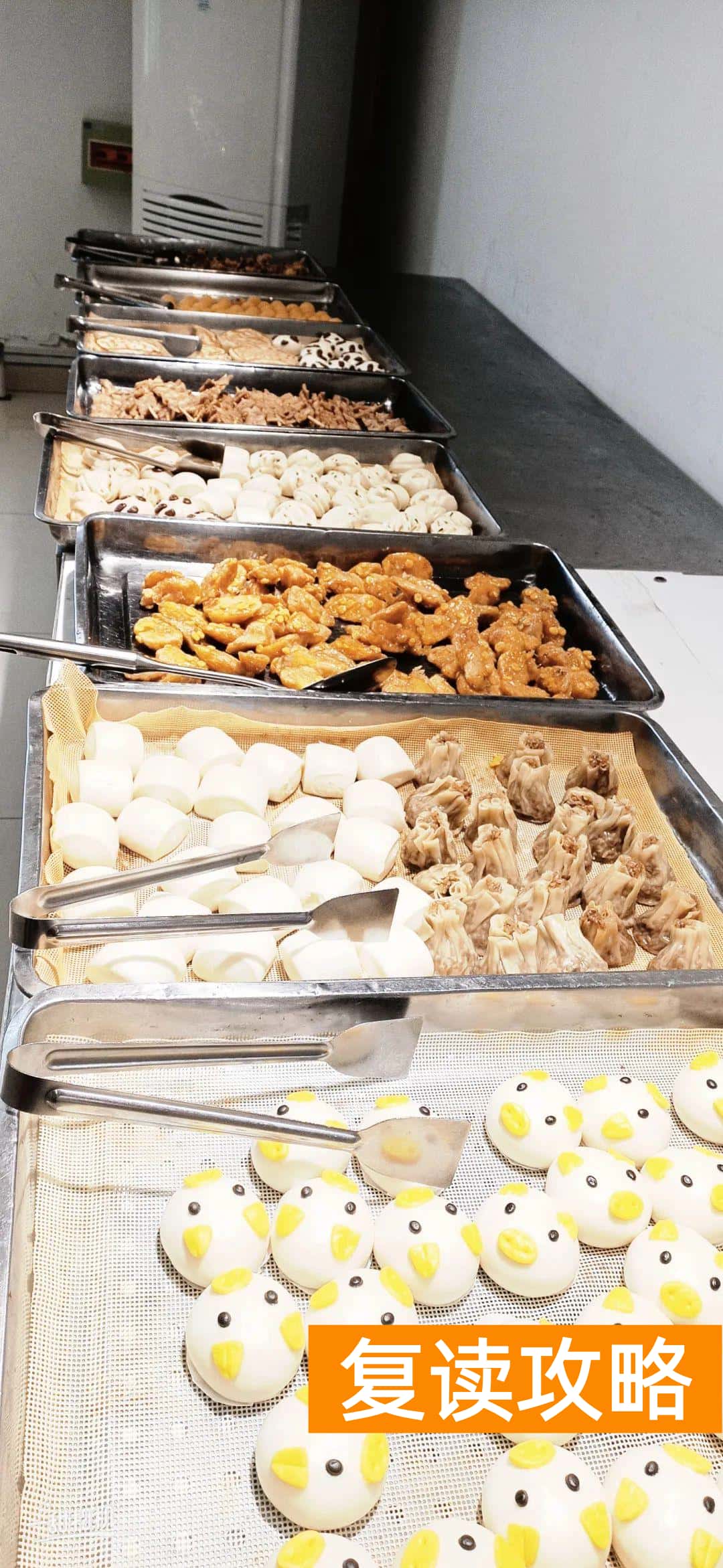 潍坊高三复读学校排名（潍坊行知中学2022年复读招生说明）