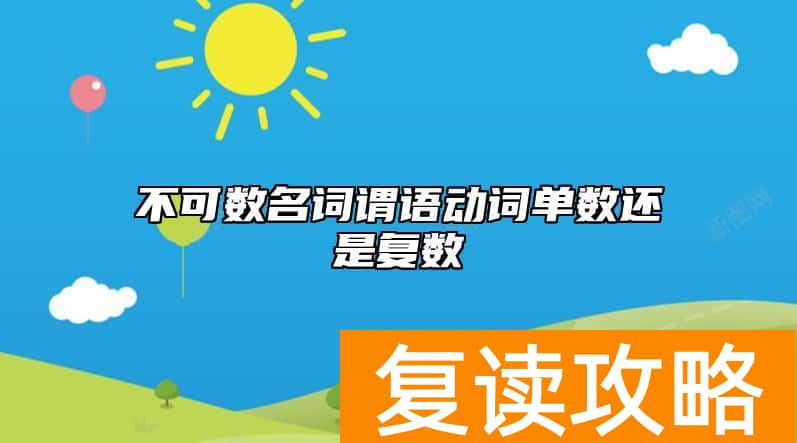不可数名词谓语动词单数还是复数