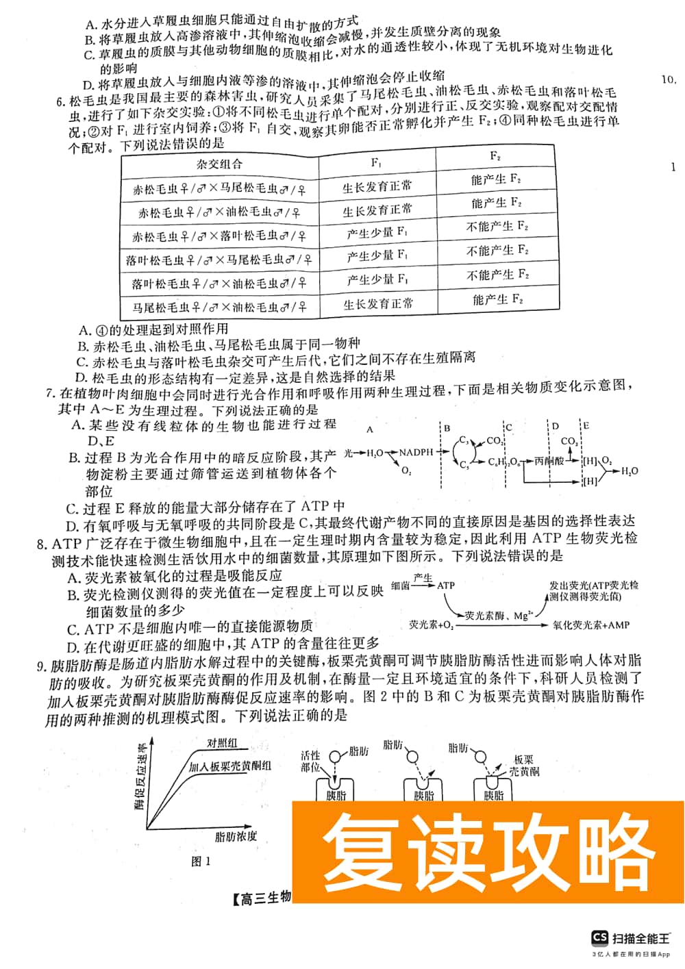 2024届湖南天壹名校联盟高三11月质检生物试题及答案