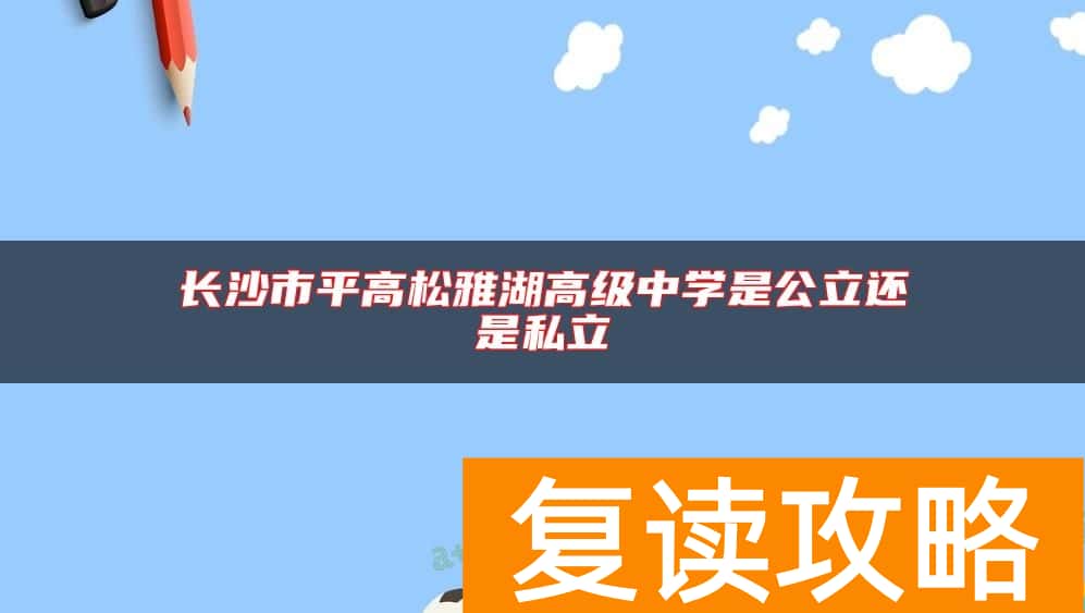 长沙市平高松雅湖高级中学是公立还是私立