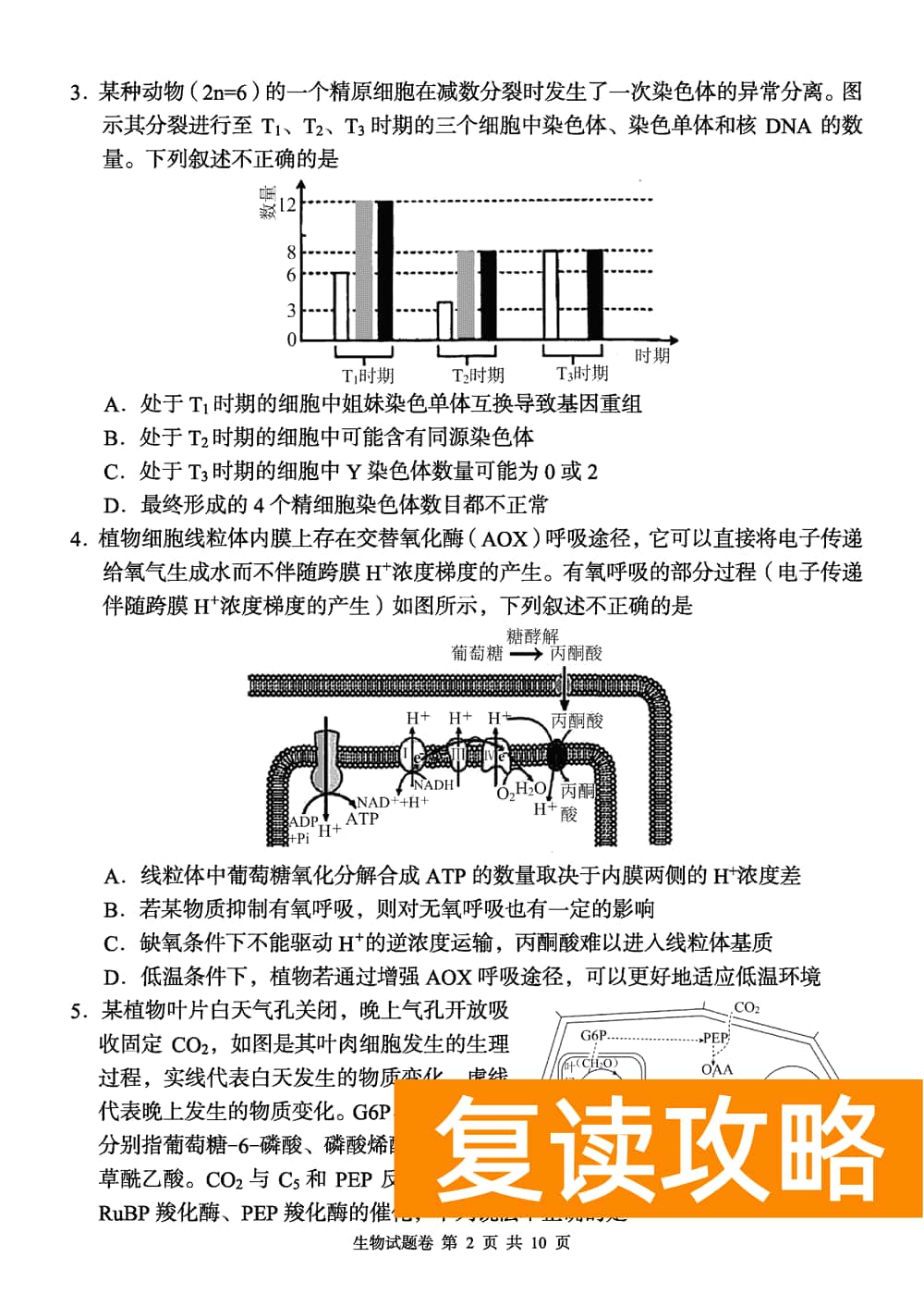 2024届湖南A佳教育高三上11月联考生物试题及答案