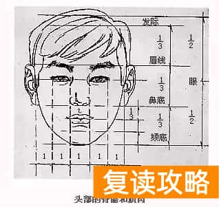 北京市成达学校是复读学校吗（成达分享美术：速写人体形体比例与结构）