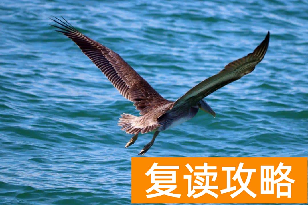 长沙艺术生复读哪个学校最好考（艺术生哪个大学好考一点）