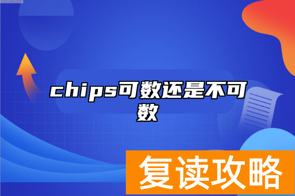 chips可数还是不可数