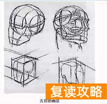 北京市成达学校是复读学校吗（成达分享美术：速写人体形体比例与结构）