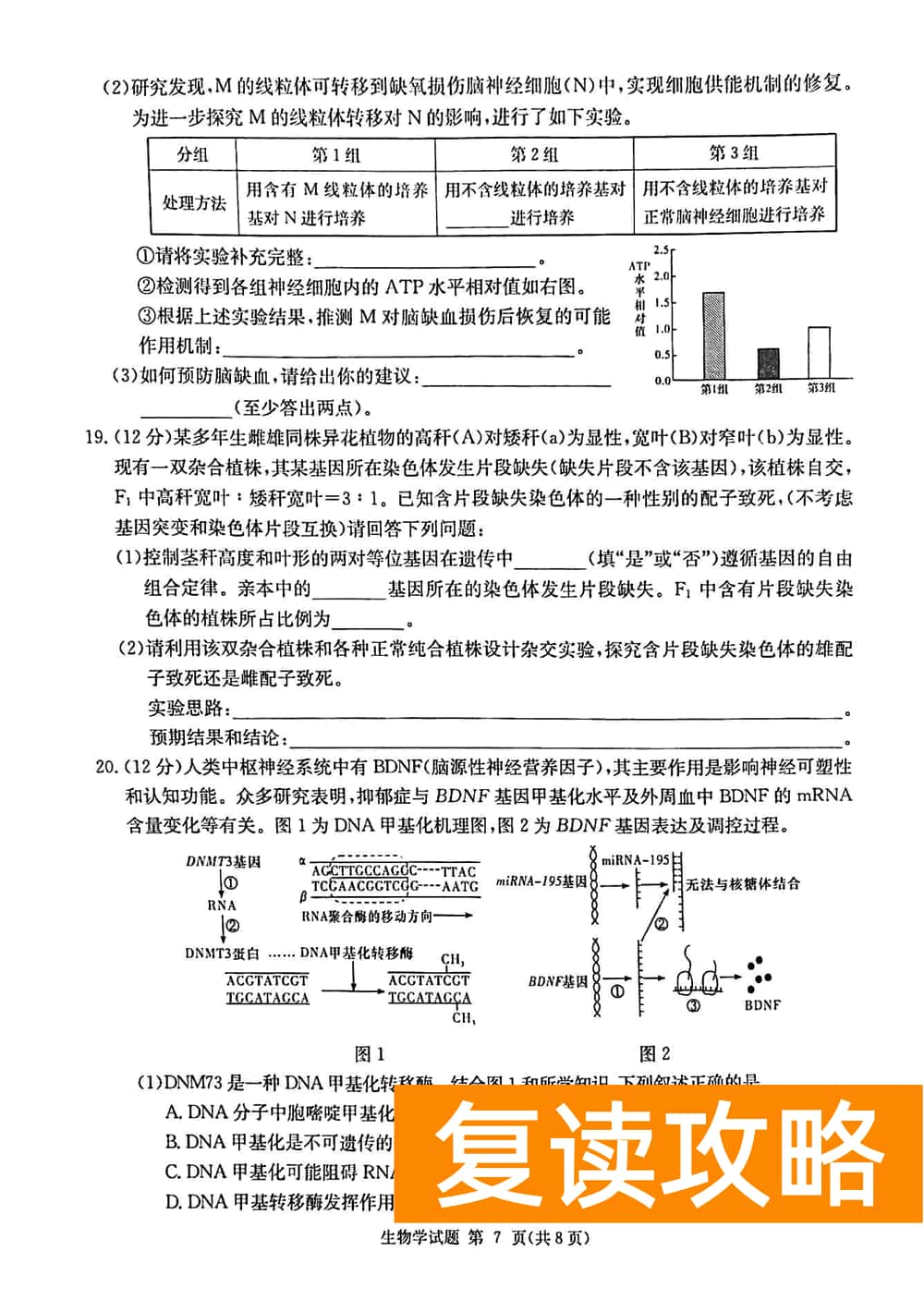 2024届湖南九校联盟高三第一次联考生物试题及答案
