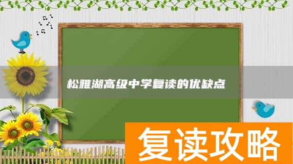 松雅湖高级中学复读的优缺点